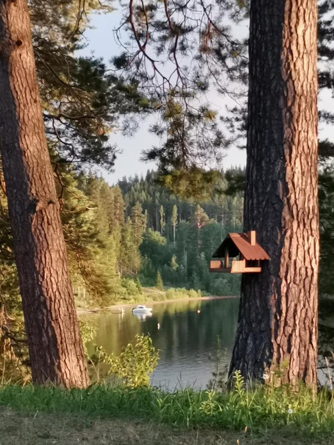 Vuori Camp By Saimaa Apartman Vuoriniemi Kültér fotó